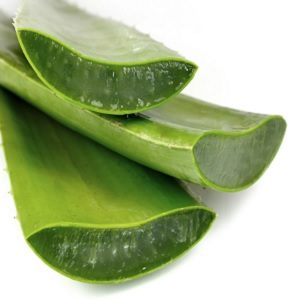 Aloe vera pour nourrir la peau en cas de psoriasis